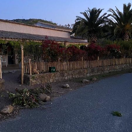 Les Lodges De La Plage U Dragulinu Sari-Solenzara Esterno foto