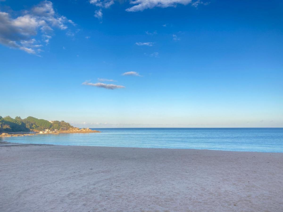 Les Lodges De La Plage U Dragulinu Sari-Solenzara Esterno foto